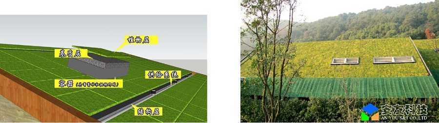 安友容器式屋頂綠化 安友容器式屋頂綠化