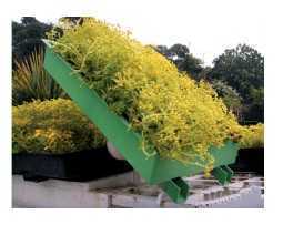 容器式屋頂綠化 容器式屋頂綠化