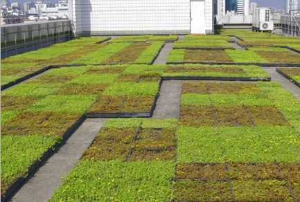 平面及斜面屋頂實例圖 平面及斜面屋頂實例圖