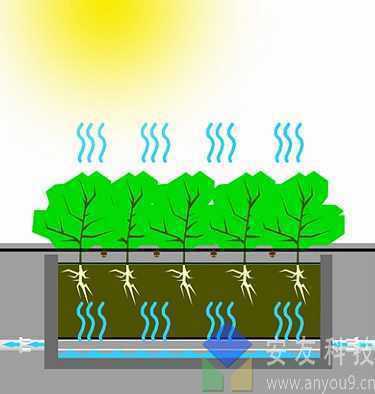 ��ˮ����_����