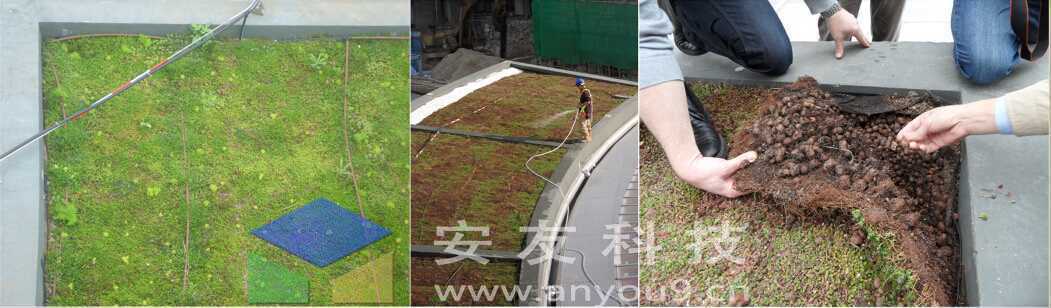 施工案例2 施工案例2