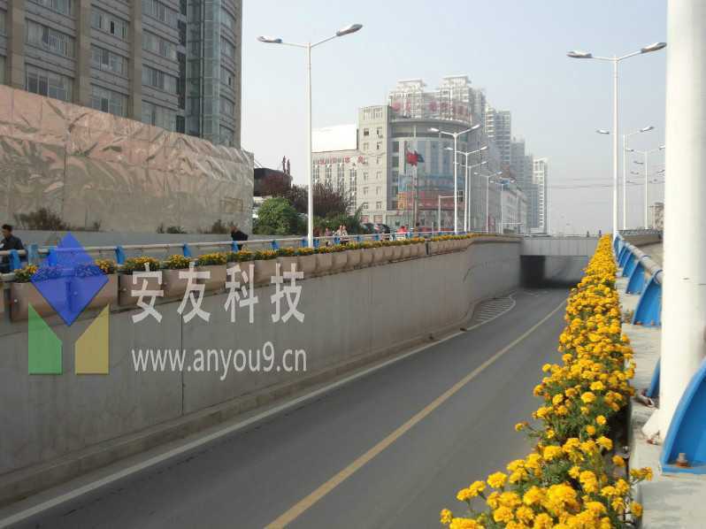 安徽下穿通道沿口綠化工程 安徽下穿通道沿口綠化工程