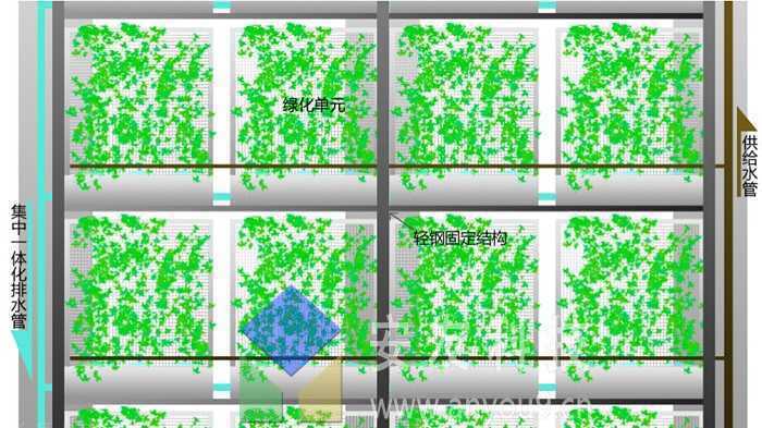 墻面綠化系統(tǒng)基本構(gòu)成 墻面綠化系統(tǒng)基本構(gòu)成