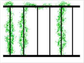 三種拉絲方式(1) 三種拉絲方式(1)