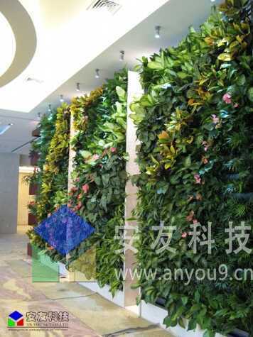 �Ƶ�������B(t��i)��_��ֱ�G����