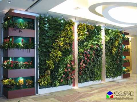 ��ֱ�G�����B(t��i)ֲ�_���̌�(sh��)��