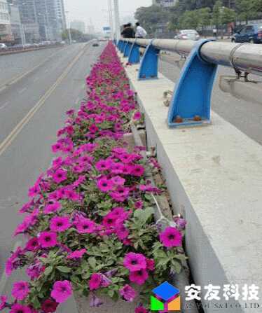立交橋綠化_實例 立交橋綠化_實例