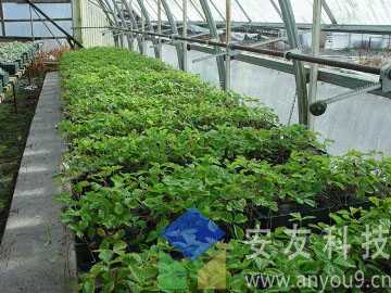 ���⾰�^����G������