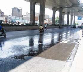 ���w������Ⱦ