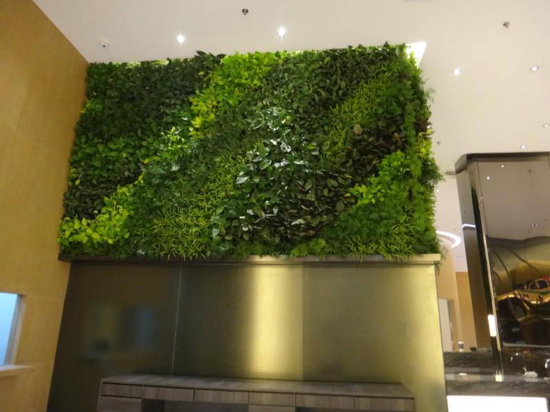 �k�������Bֲ�