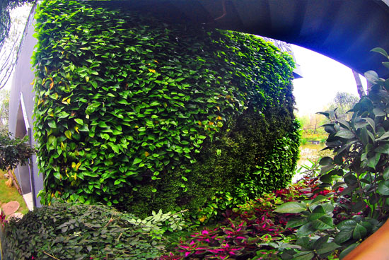 第十屆園博會上的藝術綠墻 第十屆園博會上的藝術綠墻