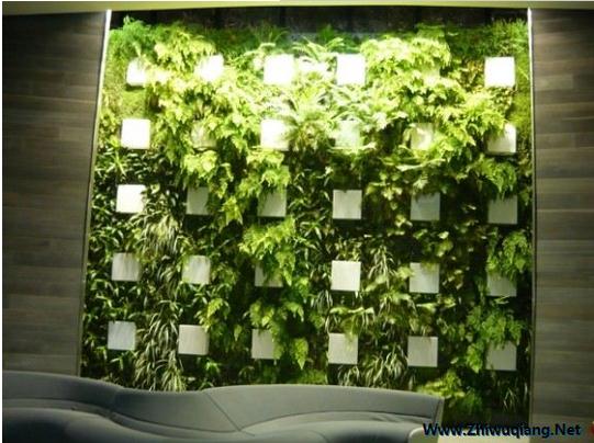 國(guó)外植物墻設(shè)計(jì) 國(guó)外植物墻設(shè)計(jì)