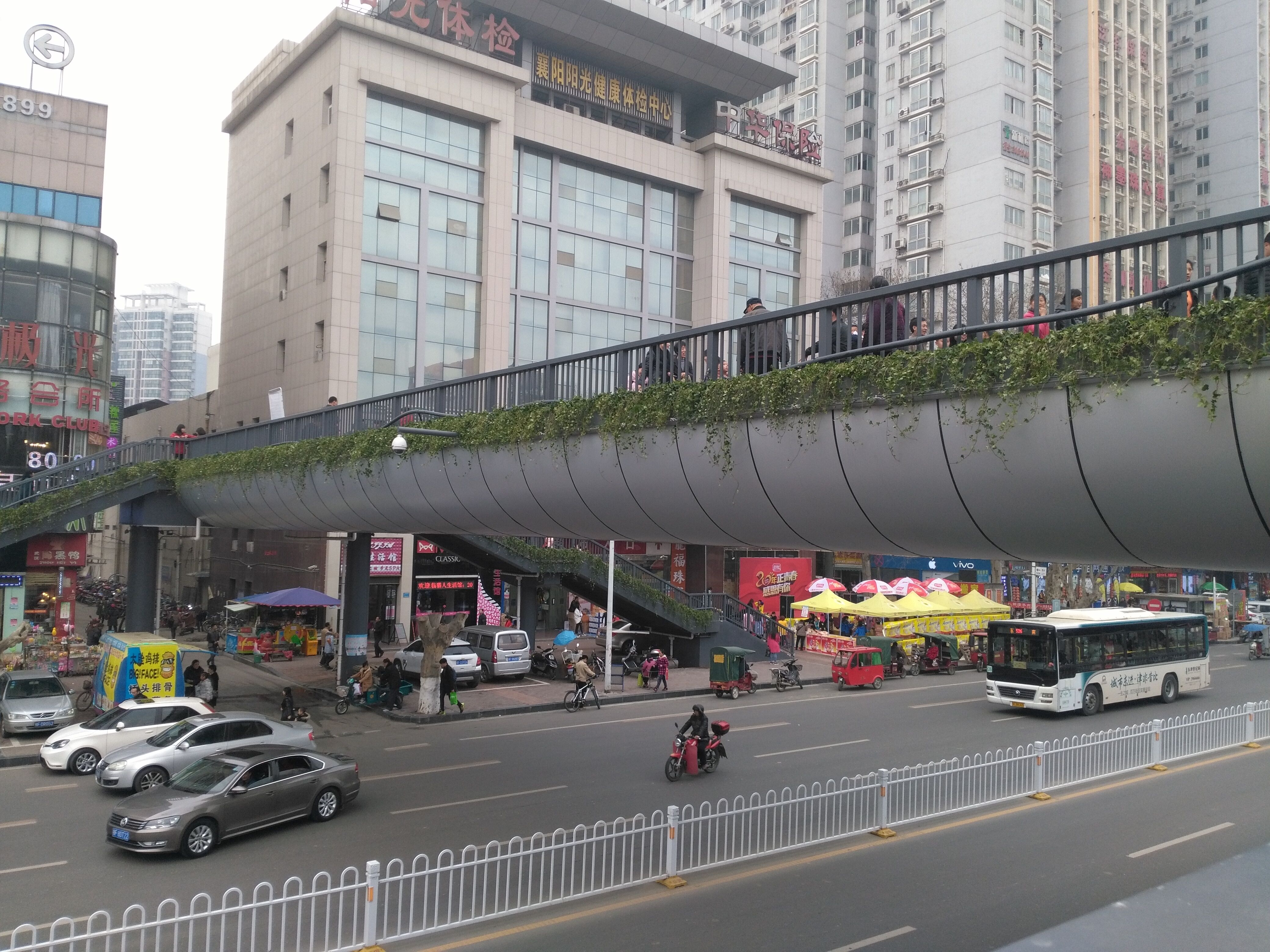 襄陽(yáng)人行天橋綠化 襄陽(yáng)人行天橋綠化