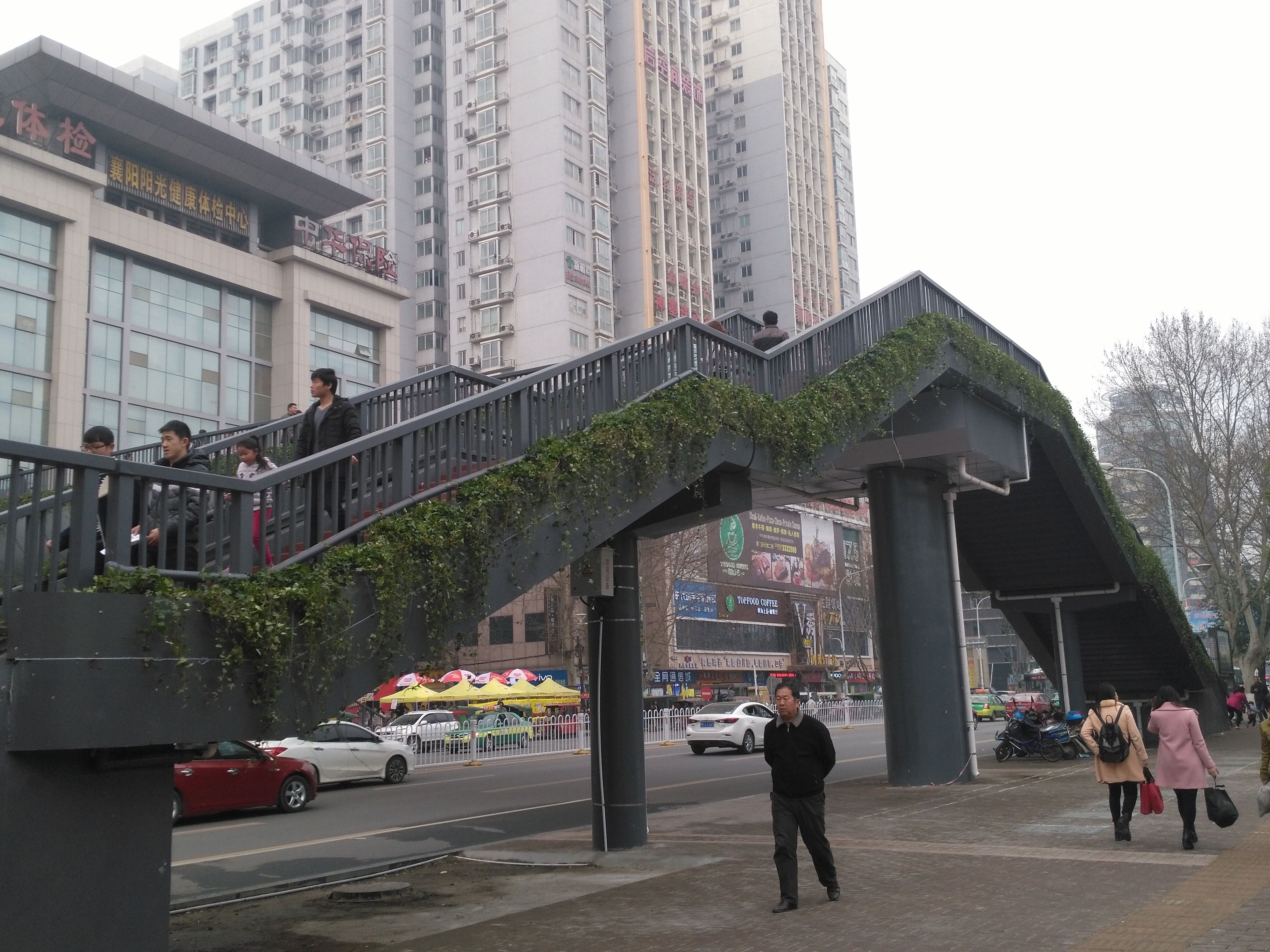 襄陽(yáng)人行天橋綠化 襄陽(yáng)人行天橋綠化