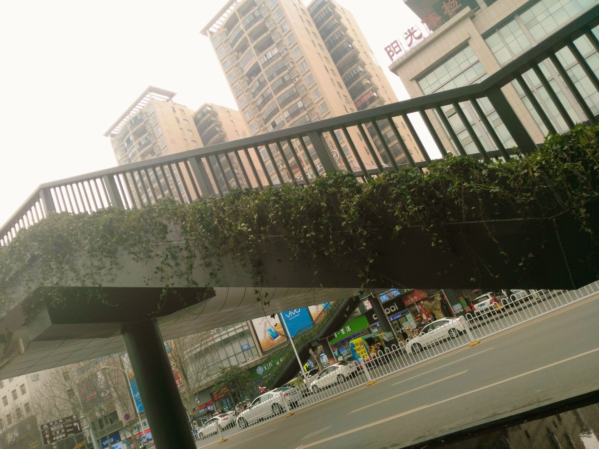 襄陽(yáng)人行天橋綠化 襄陽(yáng)人行天橋綠化