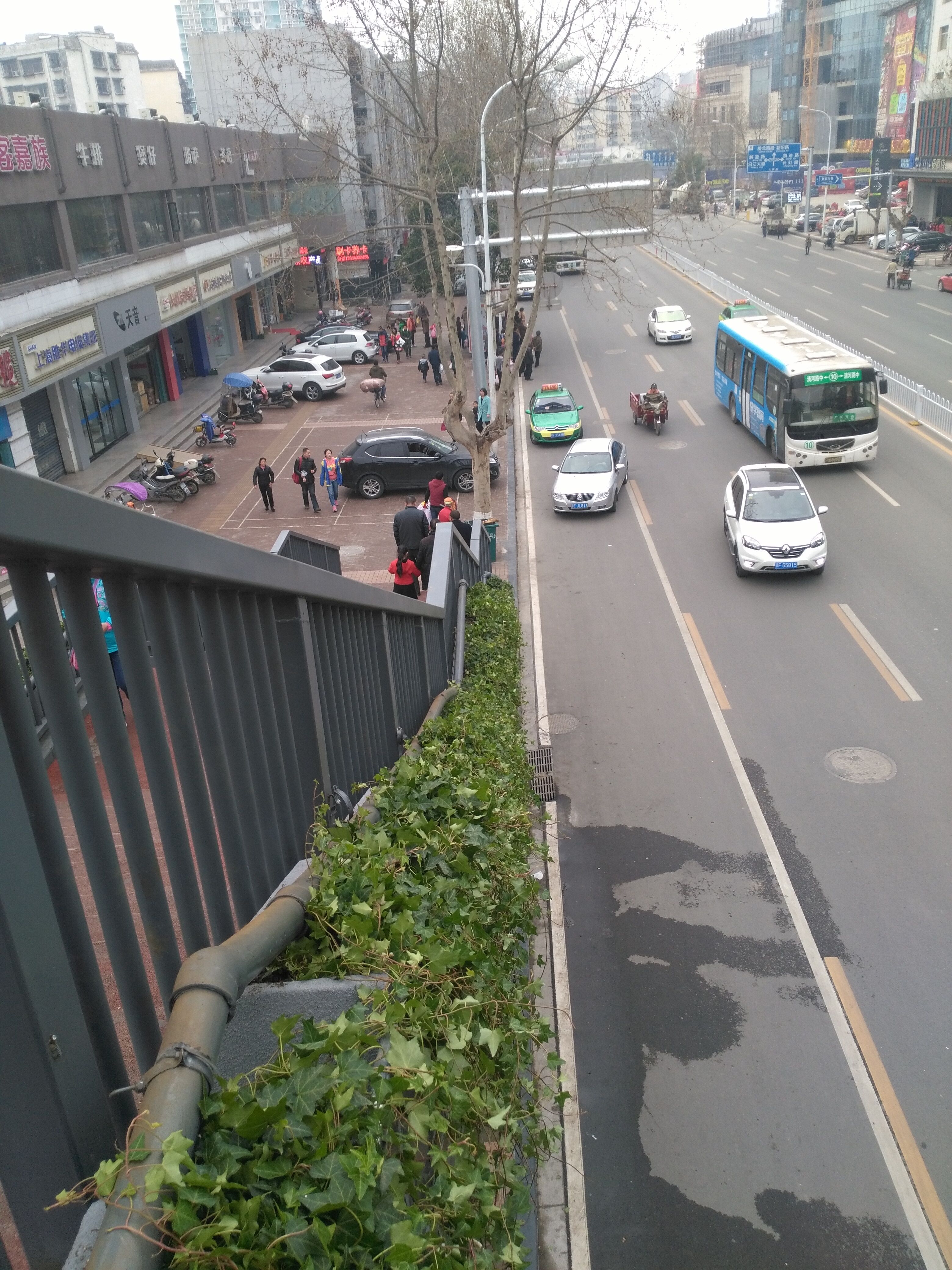 襄陽(yáng)人行天橋綠化 襄陽(yáng)人行天橋綠化