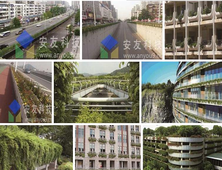 安友科技墻面綠化案例 安友科技墻面綠化案例