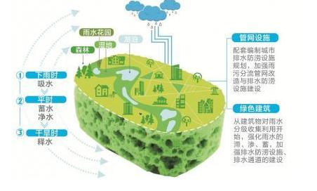 海綿城市結構示意圖 海綿城市結構示意圖