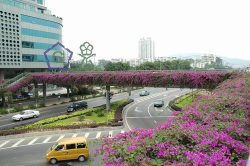 �������G���OӋҎ(gu��)��