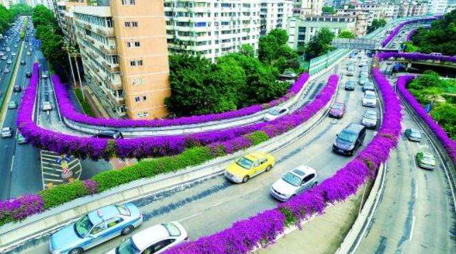 高架橋綠化 高架橋綠化